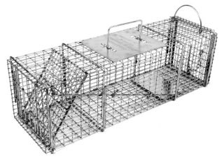Tomahawk Professional Series Rigid Trap with Easy Release Door for Skunks/Possums/Prairie Dogs   Wildlife & Rodent Control