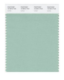 PANTONE SMART 15 5812X Color Swatch Card, Lichen   Wall Decor Stickers  