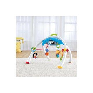 Fisher Price Apptivity Gym for iPhone & iPod Touch Devices  Early Development Activity Centers  Baby