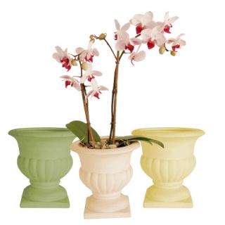 Wald Imports 4.75 in. Classic Pedestal Ceramic Planter   Set of 6   Planters