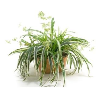 D and W Silks Spider Plant in Oval Metal Planter   Silk Plants