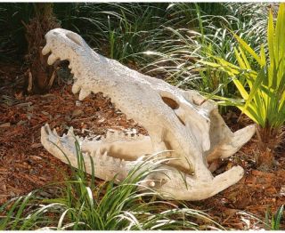 Design Toscano Crocodile Skull Sculptural Artifact   Garden Statues