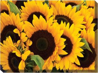 West of the Wind Sunflowers #2 Canvas Art   40 x 30 in.   Outdoor Wall Art