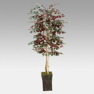 7 Foot Red Ficus Tree in Square Metal Planter   Silk Trees and Palms