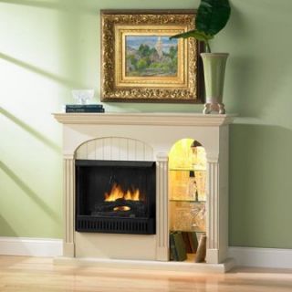 Southern Enterprises Sydney Gel Fuel Fireplace with Lighted Curio