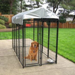Lucky Dog 4 x 8 x 6 ft. Uptown Welded Wire Dog Kennel   Dog Kennels
