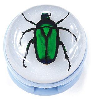 Green Chafer Beetle Blue Stapler Toys & Games