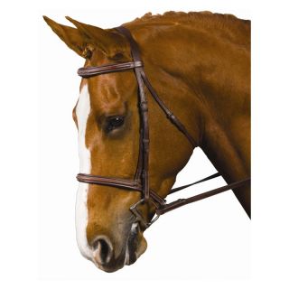 Collegiate Raised Padded Fancy Stitched Bridle   English Saddles and Tack