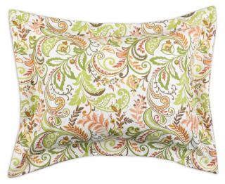 Chooty and Co Findaly Apricot Euro Sham   Set of 2   Pillow Shams