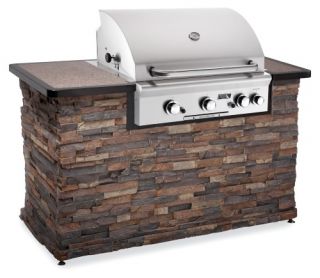 American Outdoor Grill 30 Inch Built In Gas Grill   Gas Grills