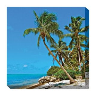 West of the Wind Palms 2 Outdoor Canvas Art   24 x 24 in.   Outdoor Wall Art
