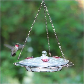 Oasis Hummingbird Feeder   Bird Feeders