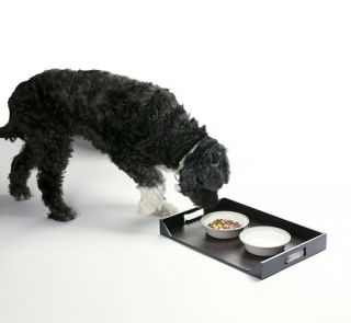 Enchanted Home Pet Large Feeding Platter   Brown Pebble   Dog Food Mats