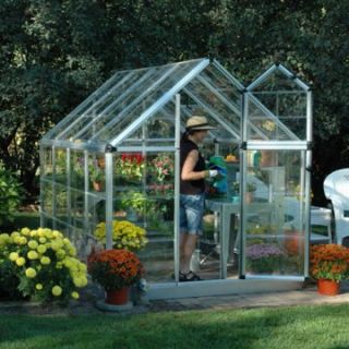 Palram Snap & Grow 6 x 8 ft. Greenhouse   Greenhouses