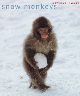 Snow Monkeys Mitsuaki Iwago, Hideko Iwago 9780811822183 Books