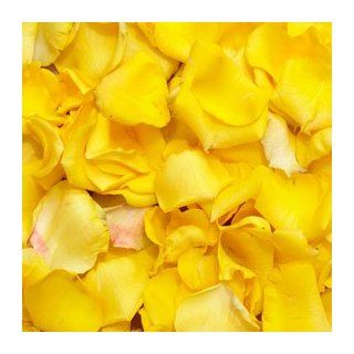 Send Yellow Rose Petals  4200 Rose Petals Yellow  Fresh Cut Format Rose Flowers  Grocery & Gourmet Food