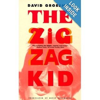 The Zigzag Kid A Novel David Grossman, Betsy Rosenberg 9780374525637 Books