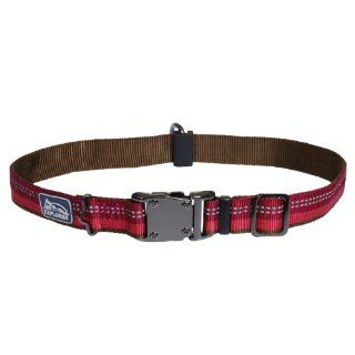 Coastal Pet Products DCP36923BRY K9 Explorer 1 Inch Dog Collar, Large, Berry 
