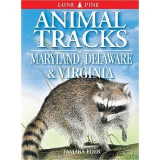 Animal Tracks of Maryland, Delaware & Virginia (Animal Tracks Guides) Tamara Eder, Ian Sheldon, Gary Ross, Ewa Pluciennik 9781551053097 Books