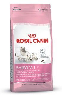 Royal Canin Babycat Grocery & Gourmet Food