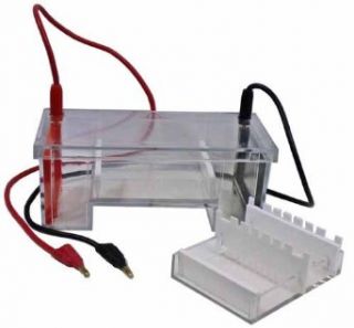 Electrophoresis Tank w Teachers Guide Science Lab Vertical Electrophoresis Apparatus