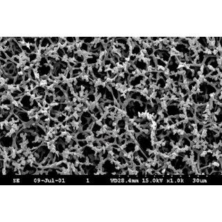 Qorpak   AKM 9007 0395   NC45 Cellulose Nitrate Membranes Science Lab Filter Membranes