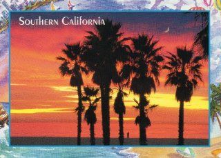 C28 SOUTHERN CALIFORNIA POSTCARD   From Hibiscus Express 