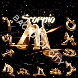 10'x10' Club Scorpio Hip Hop Background Backdrop  Photo Studio Backgrounds  Camera & Photo
