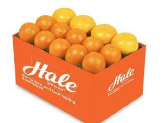 Ortanique Oranges & Ruby Red Grapefruit, Half Tray, Approximately 5 lbs. from Hale Groves  Gourmet Food  Grocery & Gourmet Food