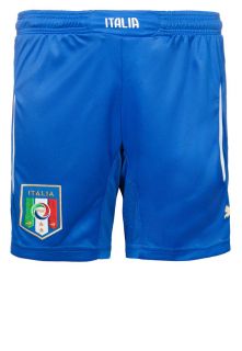 Puma   ITALIEN HOME WM 2014   Shorts   blue