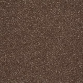 Shaw 7L52600701 Brown Textured Indoor Carpet