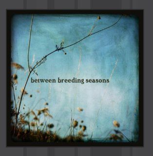 Between Breeding Seasons Music