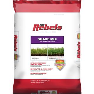Pennington 20 lbs Sun and Shade Fescue Grass Seed Mixture