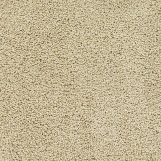 Dixie Group Trusoft Chimney Rock Cream Textured Indoor Carpet