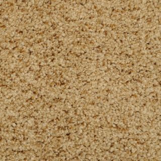 Dixie Group Trusoft Levity Brown Textured Indoor Carpet