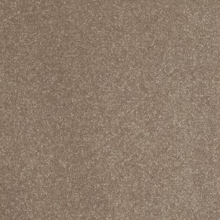 Shaw 7L52300702 Brown Textured Indoor Carpet