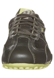 Geox SNAKE   Trainers   green