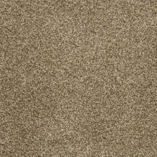 STAINMASTER Trusoft Private Oasis III Sahara Gold Textured Indoor Carpet