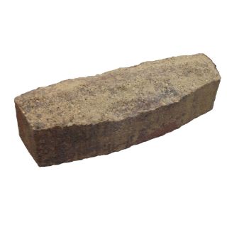 allen + roth Cassay Allegheny Chisel Top Edging Stone (Common 3 in x 12 in; Actual 3.2 in x 12 in)