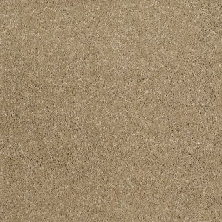 STAINMASTER Trusoft Luscious IV Flax Textured Indoor Carpet