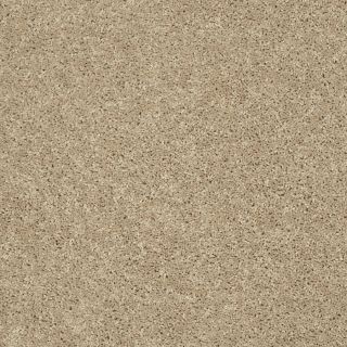 Shaw 7L53000203 Yellow Textured Indoor Carpet