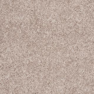 STAINMASTER Essentials Aristocrat II RR Pale Clay Textured Indoor Carpet