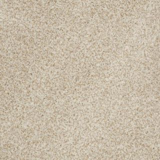 STAINMASTER Trusoft Private Oasis III Tranquility Textured Indoor Carpet