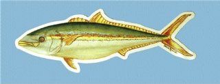 Trident Yellowtail Fish Decal Sticker Sports & Outdoors