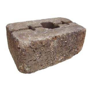 allen + roth Luxora Ashland Blend Country Manor Retaining Wall Block (Common 16 in x 6 in; Actual 15.7 in x 6.2 in)