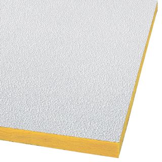 Armstrong 10 Pack Pebble Ceiling Tile Panel (Common 24 in x 48 in; Actual 23.719 in x 47.719 in)