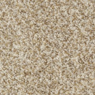Dixie Group Active Family Maple Springs Oyster Bay Frieze Indoor Carpet