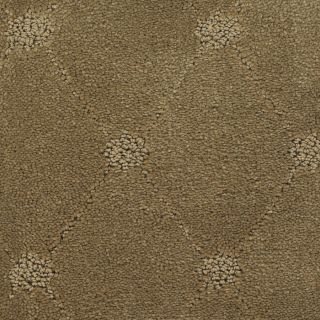 Dixie Group Trusoft Columbia Valley Brown Fashion Forward Indoor Carpet