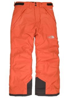 The North Face   FREEDOM   Waterproof trousers   orange