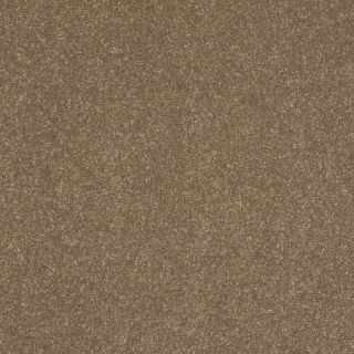 Shaw 7L52400201 Yellow Textured Indoor Carpet